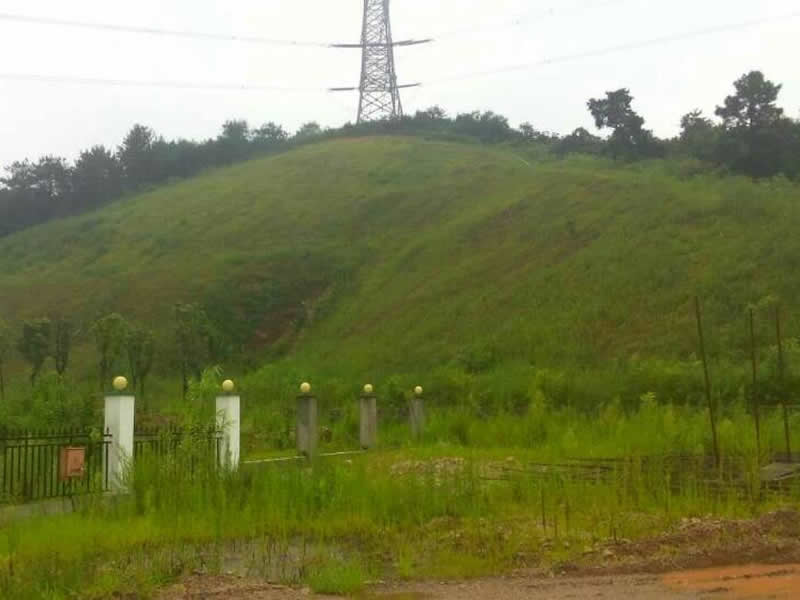 Slope Greening