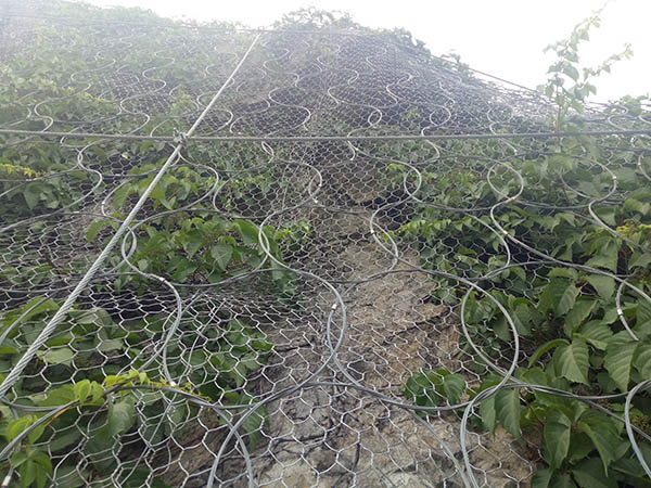 环形网主动防护网