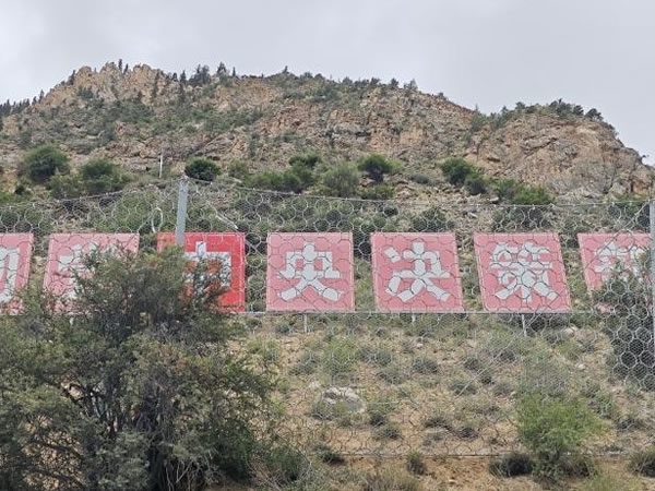 PPS-500型被动防护网
